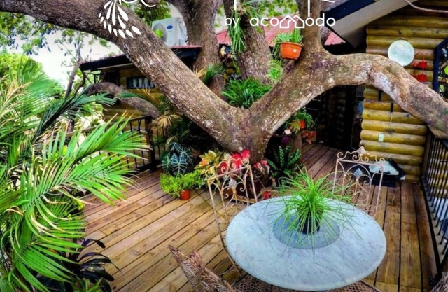 1 bdr - Ensuite tree house 🌳🏠 premium amenities / Ranch and sanctuary 🦚🤠