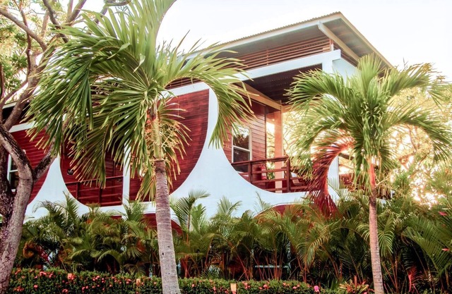 1 Bed in a Shared Hostel Room (Female #1)