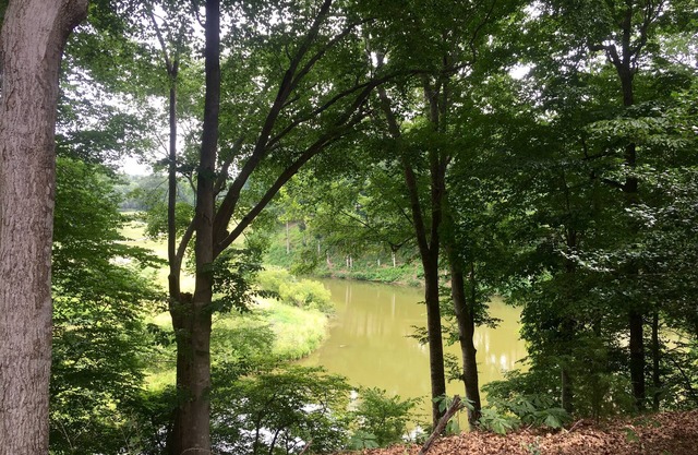 1 BR Kingsmill Resort Condo minutos a Colonial Williamsburg!