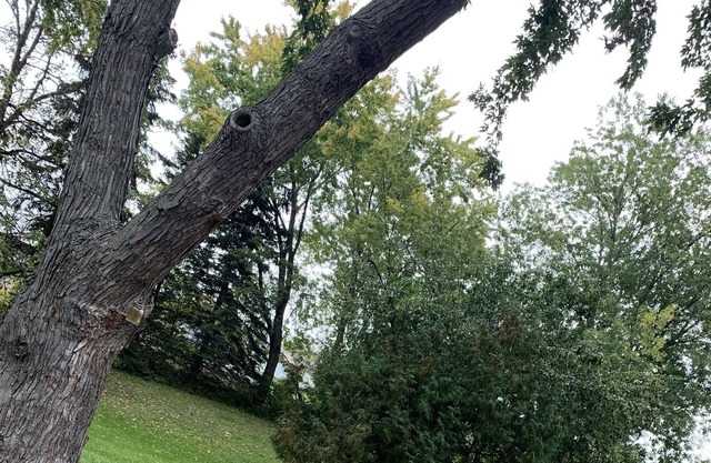 10 Minutes from Lambeau Field. Green Bay Packer Themed House!