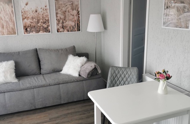 12 - BOD - Molenfeuer - Boddenferienhaus