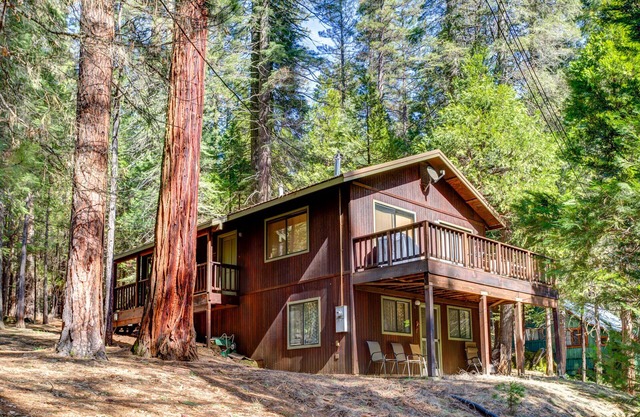 La cabaña de Cecil: ¡ponte a trabajar!