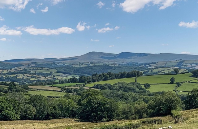 Alojamiento de 2 habitaciones en Llanwrda