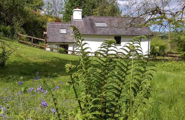 2 bedroom accommodation in Hawen