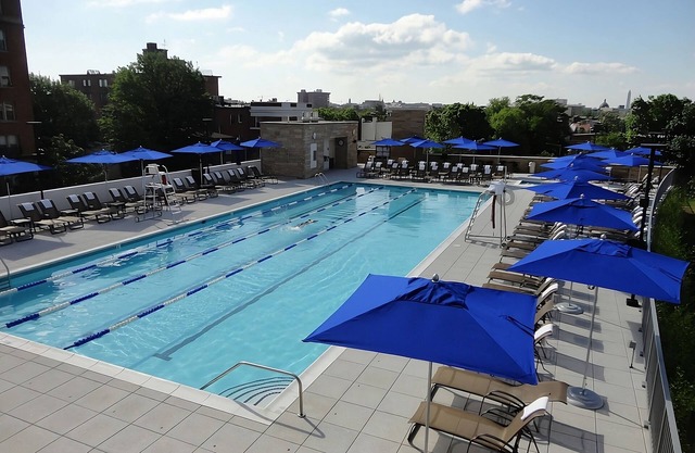 2 Premium Pet Friendly Unit Close to Local Culture