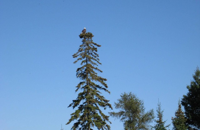 20524 condominio de playa y piscina