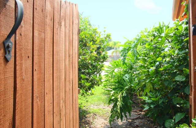 Sol ☀️ Amor ❤️ y Felicidad 😊 en una Casa Mágica 🏡
