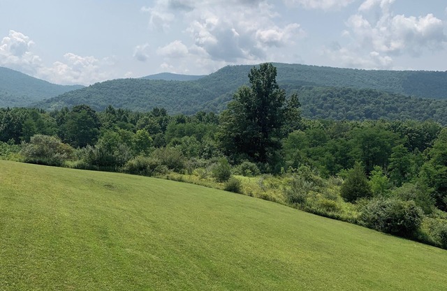 3-bedroom cabin in beautiful Slaty Fork with WiFi