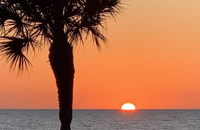 3-bedroom vacation home just 10 minutes from Honeymoon Island - Heated Pool