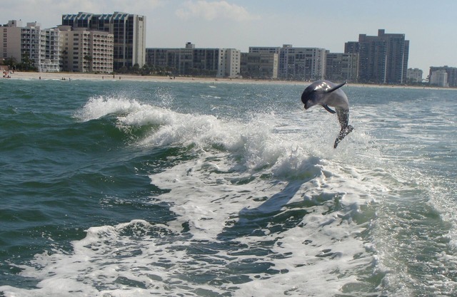Precioso escondite en el Golfo de México