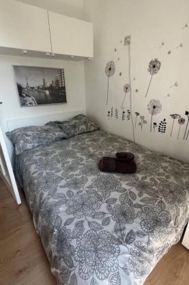 5stars Room in a shared flat by the beach, the dunes and the harbor