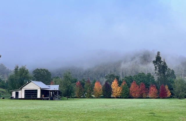 7 minutes from Wollombi town, 5 acre property with cozy house and separate barn.