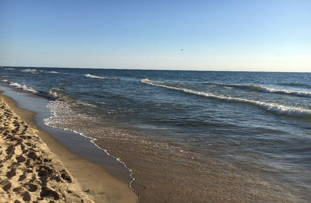 A una cuadra de la playa! Un hermoso lugar arbolado a 5 minutos a pie del lago MI ..