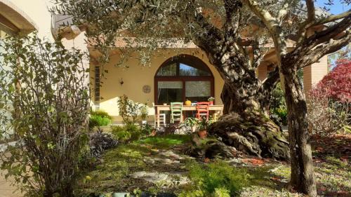 "A casa di Jolanda" a green escape near Venice