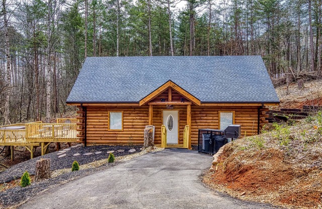 A Playful Bears Cabin: Get Ready for a Beary Good Time in the Smokies!