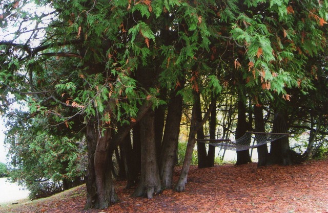 Un oasis de tranquilidad en el condado de Door cerca del agua, tiendas, restaurantes y golf.