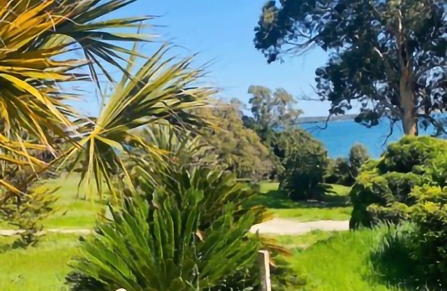 A serene moment overlooking Diana pond