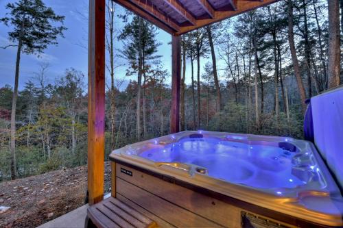 A Starry Night Brand new cabin nestled in the Aska Adventure Area