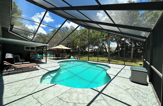 A Whale of a Good Time!