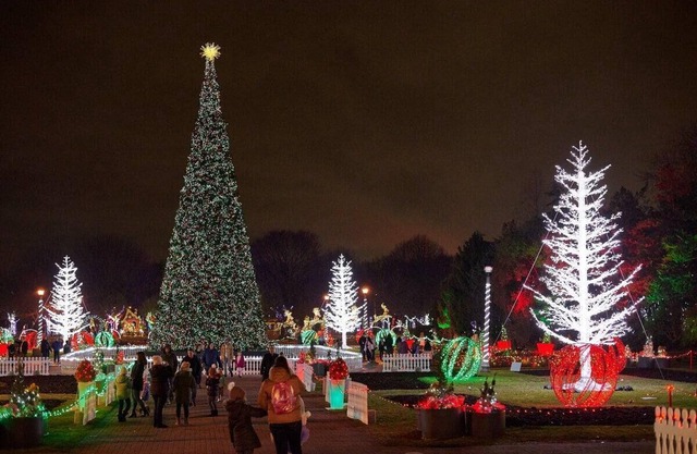 Affordable Downtown Private Room in a House (Ferdowsi)