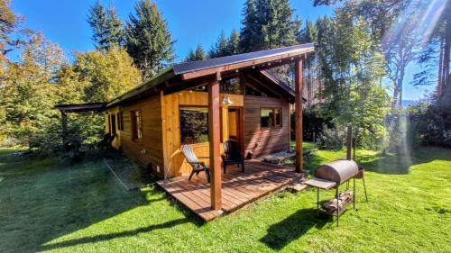 Alihuen Cabañas Cab 3