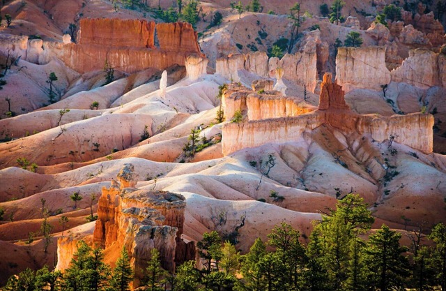 All-suite extended stay hotel in Walnut Creek, CA