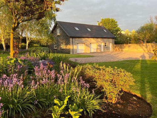 Alpaca Lodge on the North Coast