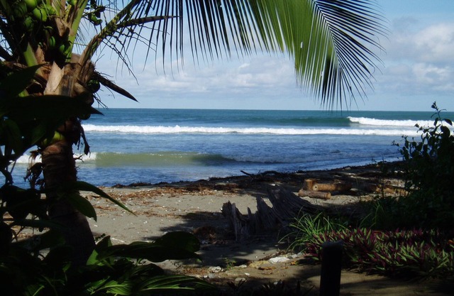 NUEVO HOGAR EN LA PLAYA EN LA SELVA. Surf, cascada, yoga, restaurantes cercanos.
