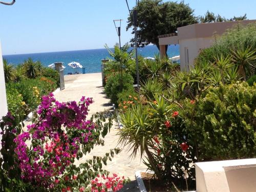 Amaryllis Beach House