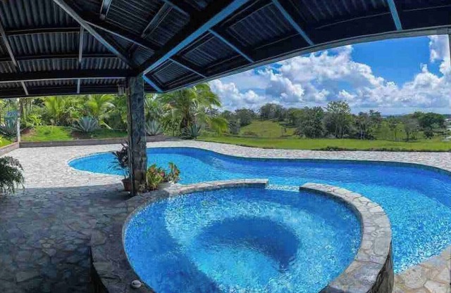 Amazing House Paradise