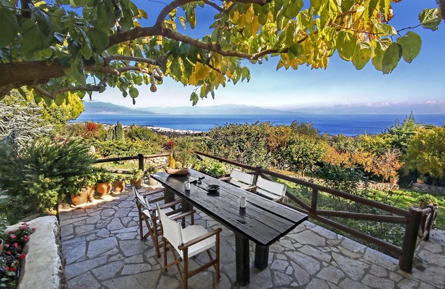 Ampelos Estate - El estudio