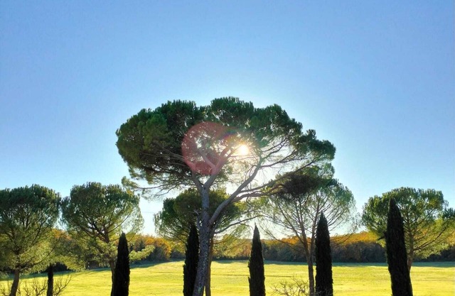 Antiguo pueblo: Historia y Naturaleza en el silencio del campo.