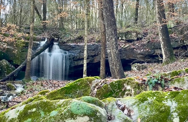 Antique log cabin with waterfall and 360 degree views of beauty!