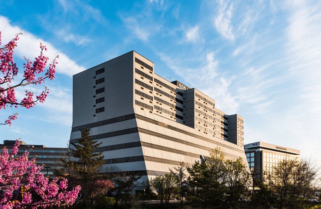 APA Hotel Woodbridge