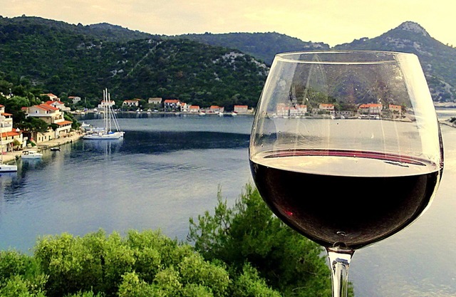 Apartamentos IVAN (53213-A1) - Zaklopatica - isla Lastovo