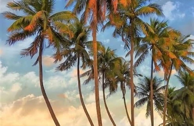 Apartamento Aconchegante na Orla do Cabo Branco