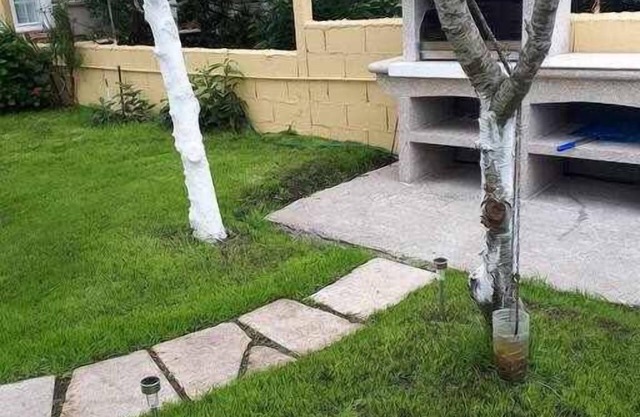 Apartamento con patio al lado de la iglesia (IgB)