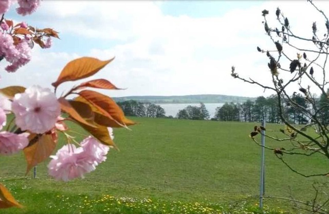 Apartamento Mäckelborg en el hermoso Woblitzsee - Apartamento Mäckelborg