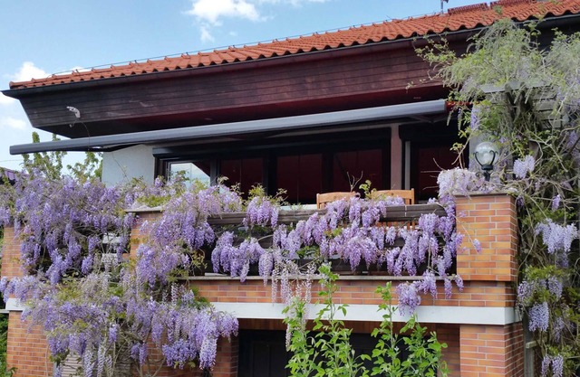 Apartamento Cerámica y Mar - Propiedad 32866 - Apartamento Cerámica y Mar