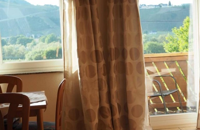 Apartamento-Baño privado-FeWo mit Moselblick 1
