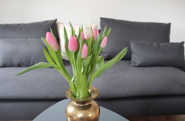 Cantera de apartamentos