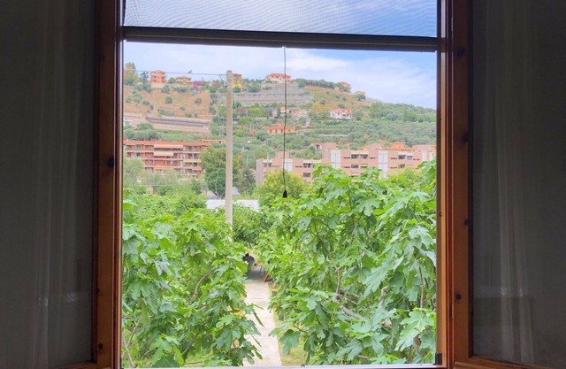 apartamento rodeado de vegetación 008031-LT-0196