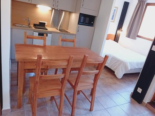 Apartment Termignon ski-in ski-out location