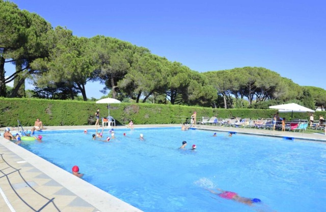 Apartment- Type A Confort