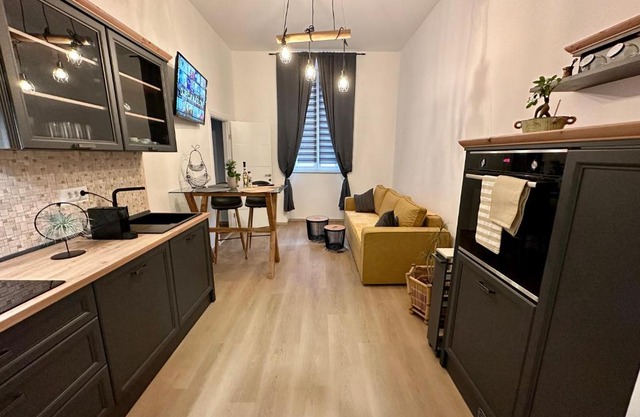 Apartment VidRi