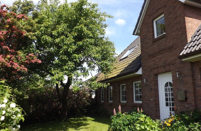 Apartamento con perro, 100m²