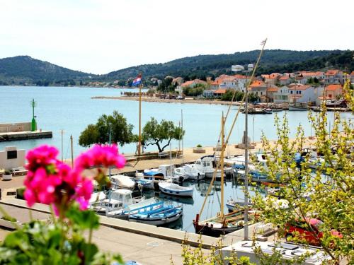 Apartments and rooms Dalibor