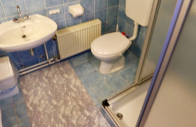 APARTAMENTOS BOLDIN BLED APARTAMENTO PARA 4 PERSONAS