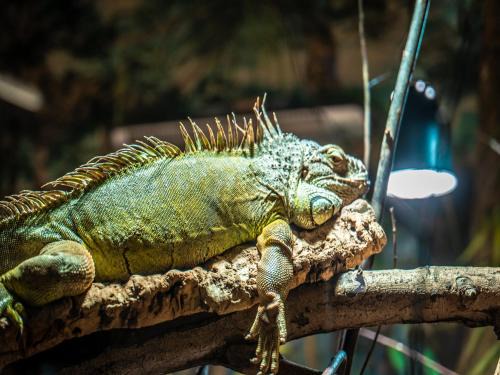 Apartments in the holiday and leisure park Weissenhäuser Strand, Weissenhäuser Strand