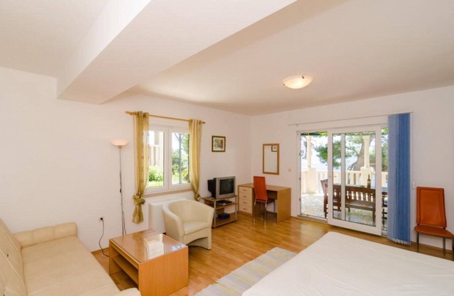 Apartments Plavac Mali- Comfort One Bedroom Apartment with Terrace and Sea View